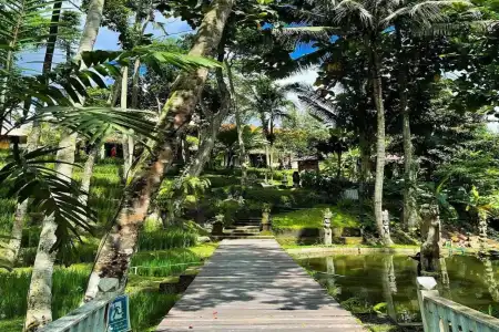 Ubud Sari Health Resort - 9