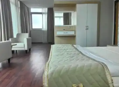 Guney Adana Otel - 1