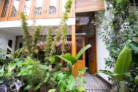 Maison d'Orient - 0