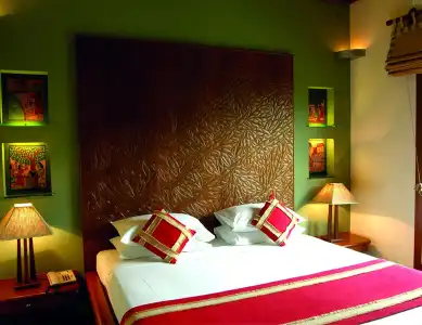 Vedic Village Spa Resort - 34