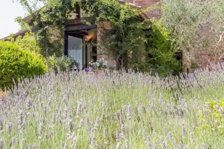 La Vittoria 10 - La Soglia della Val d'Orcia - 123