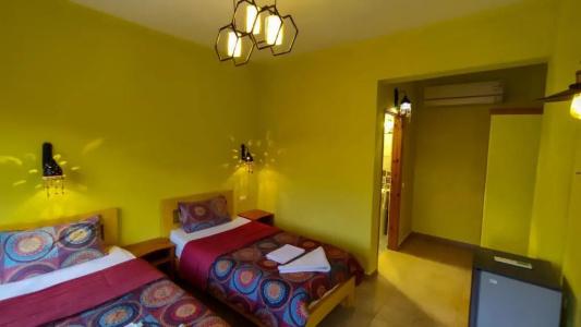 Shams & Dive Centre - 22