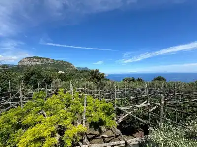 Agriturismo Piccolo Paradiso - 40
