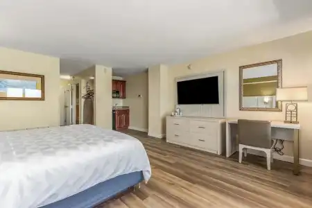 Holiday Inn & Suites Clearwater Beach by IHG - 176