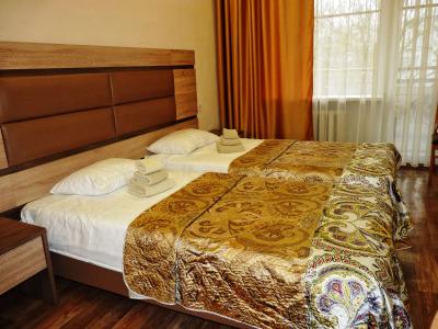 Saki Health Resort - 2