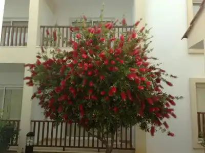 Aktea Beach Village - 0