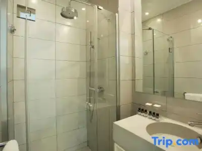 Le Basile Hôtel - 79