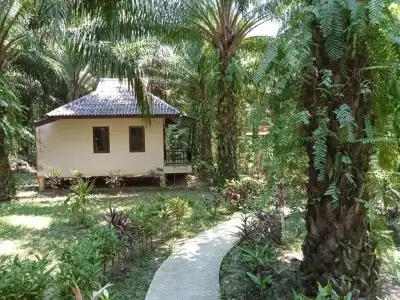 Khao Sok Palm Garden Resort - 56
