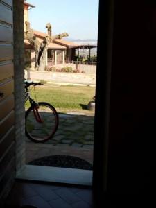 Tenuta del Perugino - 50