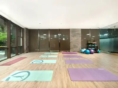 Holiday Inn Chengdu High-Tech Center by IHG - 42