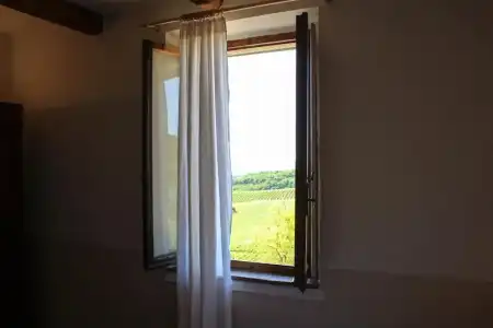 Fattoria San Donato - 47