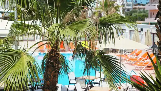Bella Elena Apartments - 22