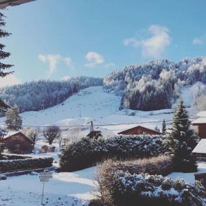 Hôtel l'Igloo - 46