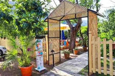 Sunrise Bungalows - 35