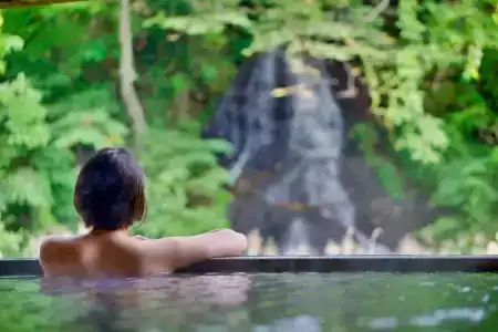 Fujisan Ryokan Bettei Namari Onsen - 18