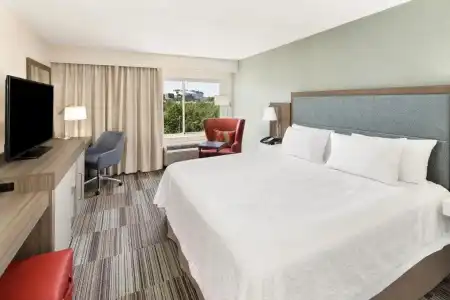 Hampton Inn Atlanta-Georgia Tech-Downtown - 69