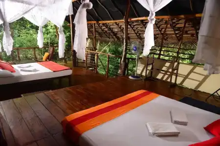Back of Beyond - Pidurangala - 69