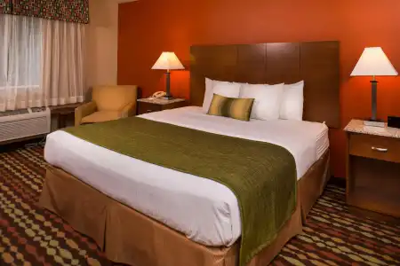 Best Western Ambassador Inn & Suites - 4