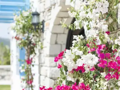 Bellezza Alacati - 8