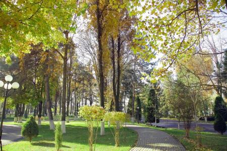 Residence Park - 22