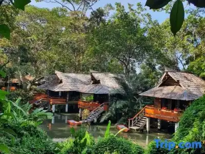 Sunset Park Resort and Spa by SWR - 174