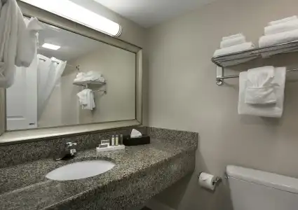 Caribbean Resort & Villas - 9