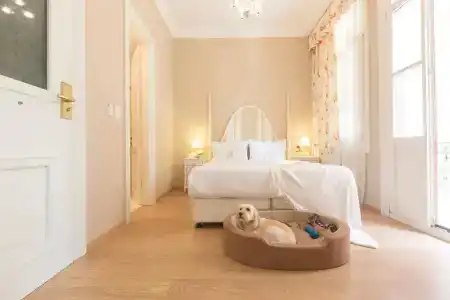 Gatto Perso Luxury Apartments - 73