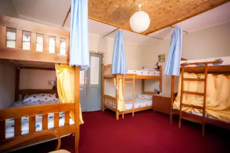 The Wanderers Hostel - 5
