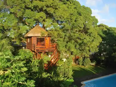 Tree Lodge Mauritius - 5