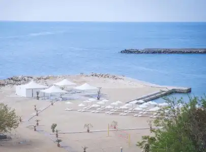 Dolphin - 25