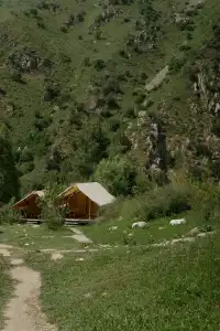 Glamping Pana Ayusai - 187