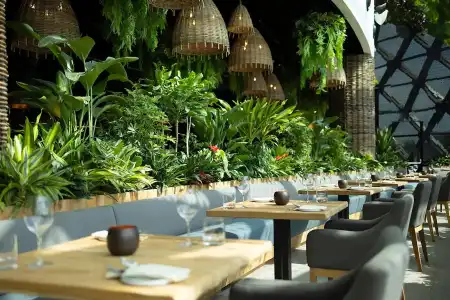 Dusit Thani Laguna Singapore - 38