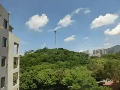 Shenzhen HongBo - 13
