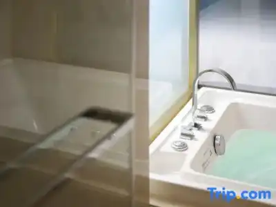 Zhejiang Xizi - 117