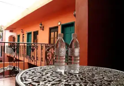 Meson Matamoros - 13
