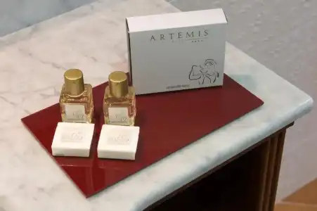 Artemis - 58