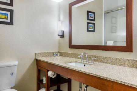 Comfort Suites Raleigh Walnut Creek - 45