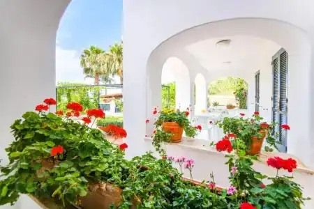 Residence San Domenico - 61