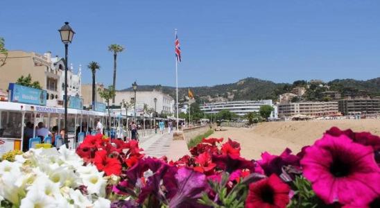 Restaurant Victoria - 14