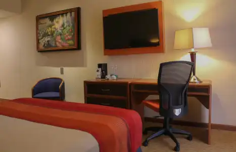 Guadalajara Plaza Expo Business Class - 6