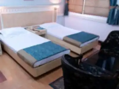 Amar Inn - 12