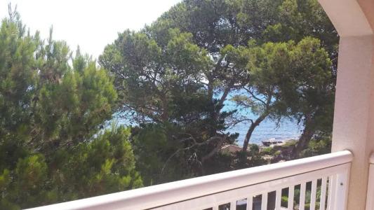 Canyamel Classic, Solo Adultos - 25