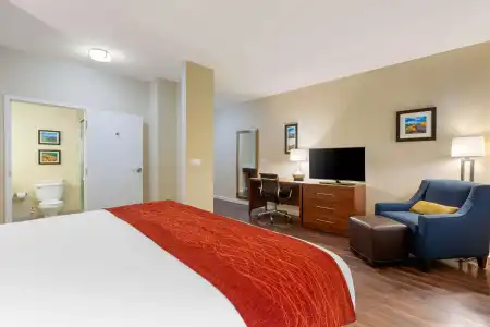 Comfort Inn & Suites near Ontario Airport - 30