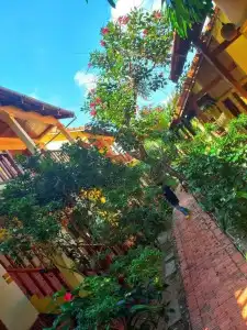 Viet Thanh Resort - 50