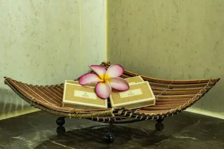 Aanari & Spa - 39
