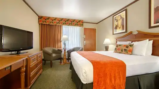 Best Western Seven Seas - 76