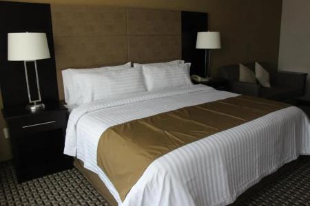 Holiday Inn México Santa Fe by IHG - 29