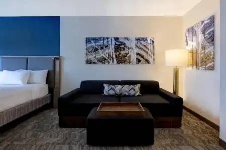 Springhill Suites By Marriott Las Cruces - 40