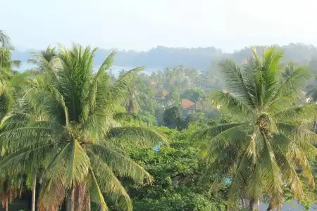 Am Surin Place - 20