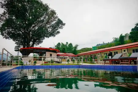 Alfanzoo Resort - 2